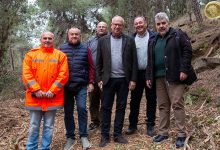 Καθαρισμός-δασικής-έκτασης-στο-Παληό