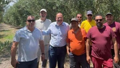 Η-λύση-για-το-ψηφιακό-δελτίο-αποστολής-των-αγροτών
