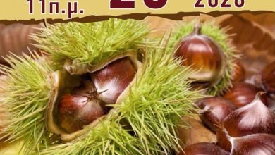 Ημέρα-Κάστανου-2026-Την-Κυριακή-25-Οκτωβρίου-2026-όλοι-οι-δρόμοι-οδηγούν-στο-Παλαιοχώρι